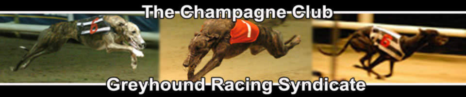 The Champagne Club Greyhound Racing Syndicate