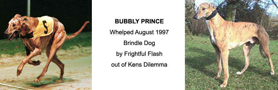 Bubbly Prince